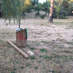 Parco Comunale giugno