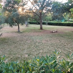 Parco Comunale giugno