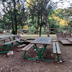 Parco Comunale giugno