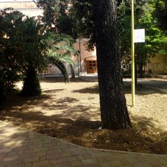 Parco Marinelli x