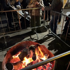 Sagra panzerotti 2025