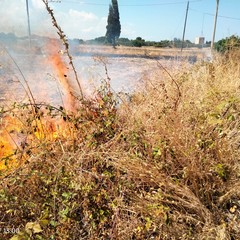 Principio d'incendio in viale Del Lilium