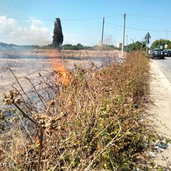 Principio d'incendio in viale Del Lilium