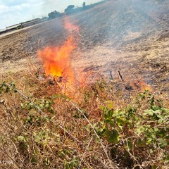 Principio d'incendio in viale Del Lilium