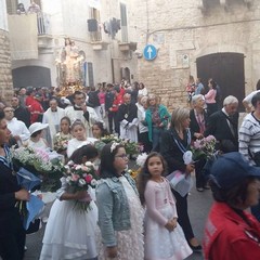 Madonna del Rosario in processione