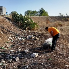 Quintali di bottiglie di vetro abbandonate