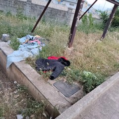 Rifiuti e piante infestanti nelle aree del verde pubblico. Foto dell'UDC Terlizzi