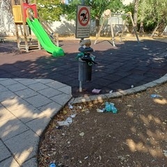 Rifiuti in area giochi viale Aldo Moro