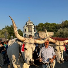 Ritorno della Vergine Nera da Sovereto a Terlizzi