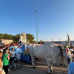 Ritorno della Vergine Nera da Sovereto a Terlizzi