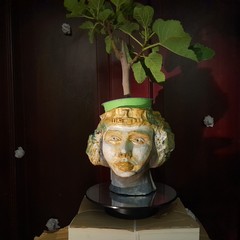 Sagra fiorone Domenico Tauro