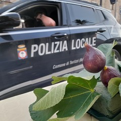 Sagra fiorone Domenico Tauro