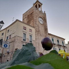 Sagra fiorone Domenico Tauro