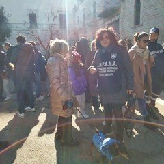 Sant'Antonio Abate, benedizione degli animali all'Immacolata