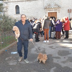 Sant'Antonio Abate, benedizione degli animali all'Immacolata