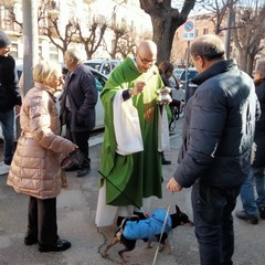 Sant'Antonio Abate, benedizione degli animali all'Immacolata