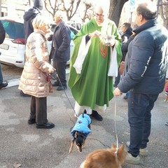 Sant'Antonio Abate, benedizione degli animali all'Immacolata