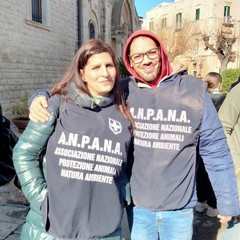 Sant'Antonio Abate, benedizione degli animali all'Immacolata