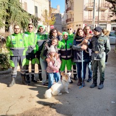 Sant'Antonio Abate, benedizione degli animali all'Immacolata