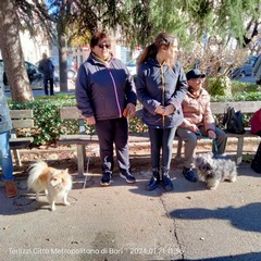 Sant'Antonio Abate, benedizione degli animali all'Immacolata
