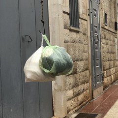 Sciopero comparto igiene urbana JPG