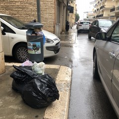 Sciopero comparto igiene urbana JPG