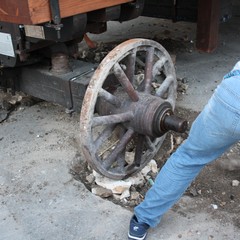 Spostamento del carro Trionfale dal Lamione