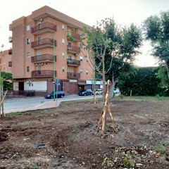 Verde Palafiori