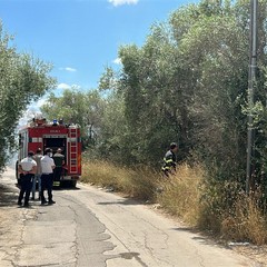Vigili del Fuoco in Contrada Piscina La Corte