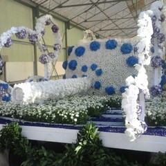 carro floreale