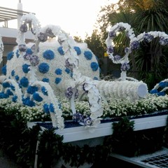 carro floreale