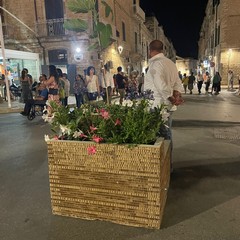 Fiori e Fioroni-Cena degustazione-6luglio2024