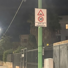 Rallentatori su via Favale 2
