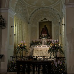 Gli altari della reposizione a Terlizzi: le foto