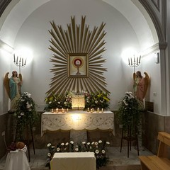 Gli altari della reposizione a Terlizzi: le foto