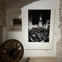 Festa Maggiore, mostra 2026