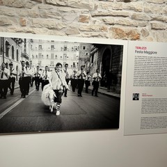 Festa Maggiore, mostra 2026