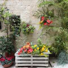Vicoli in fiore