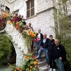 Vicoli in fiore