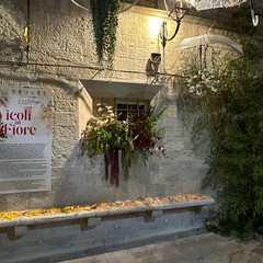 Vicoli in fiore