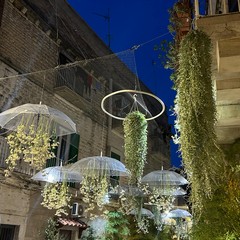 Vicoli in fiore