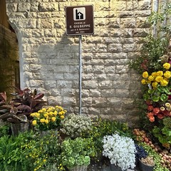 Vicoli in fiore