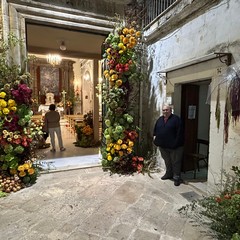 Vicoli in fiore