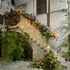 Vicoli in fiore