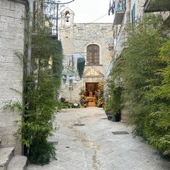 Vicoli in fiore