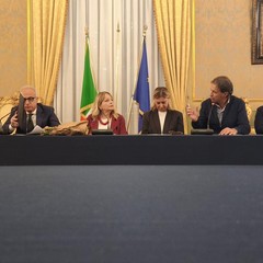 Crisi olivicola