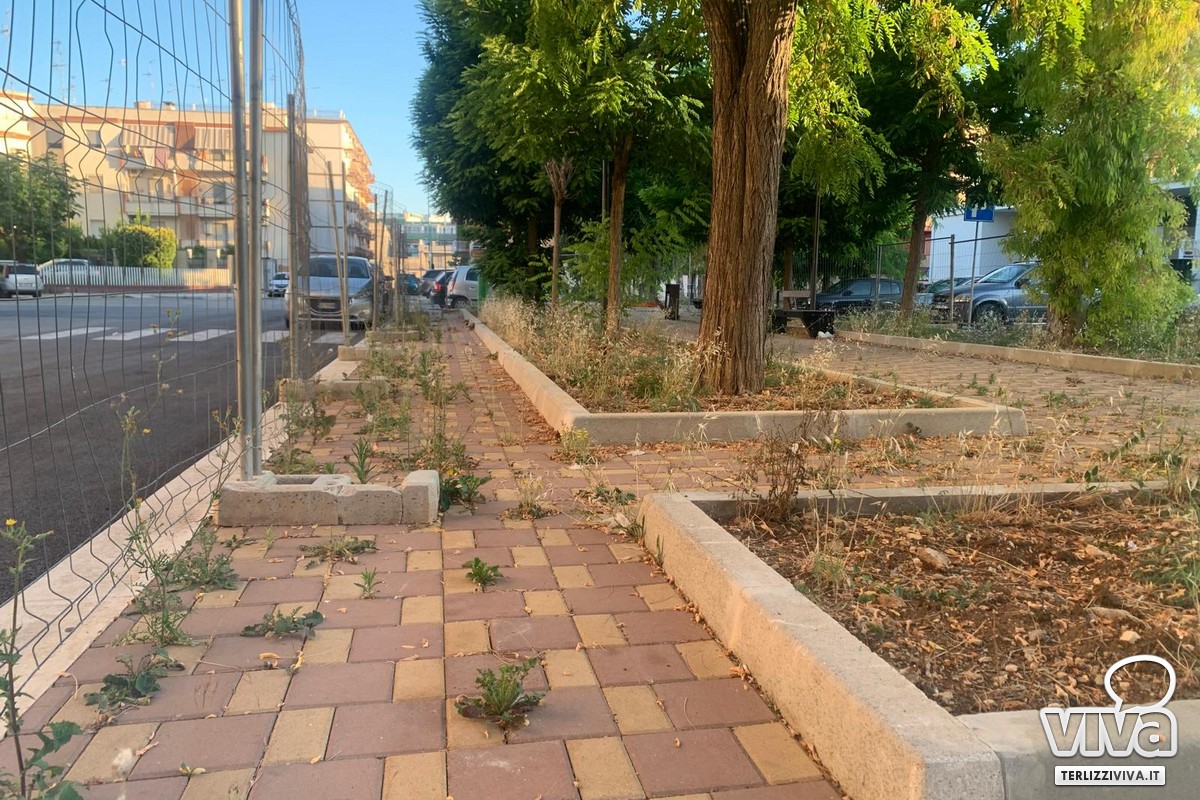 Erbe infestanti