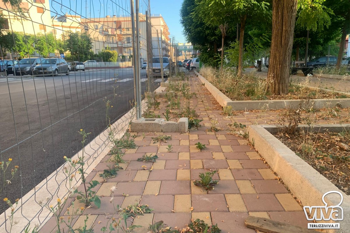 Erbe infestanti