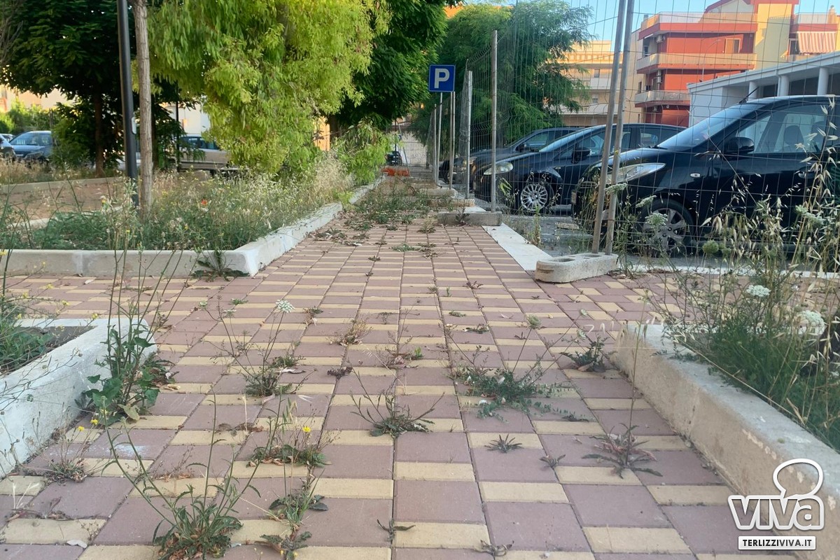 Erbe infestanti