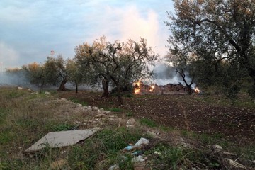 incendio rogo campagna